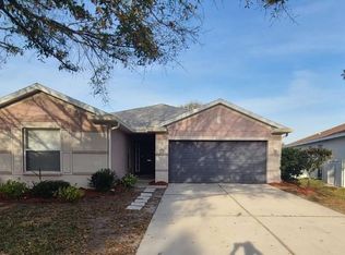 11315 Coconut Island Dr, Riverview, FL 33569