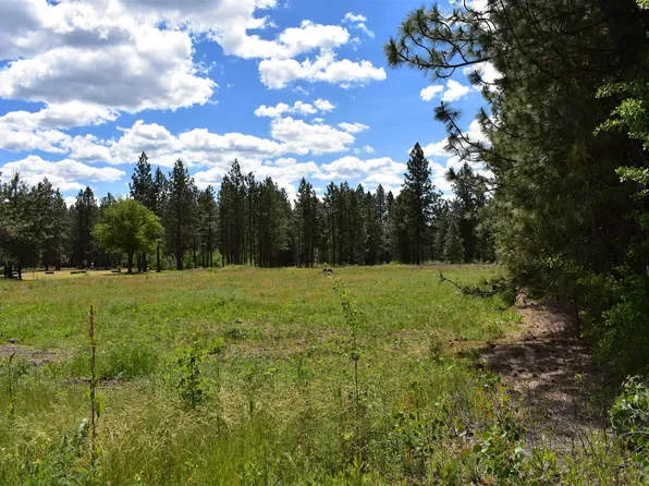 W White Rd, Cheney, WA 99004