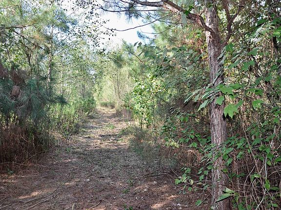 4th image of TRACT 3 Fm 130