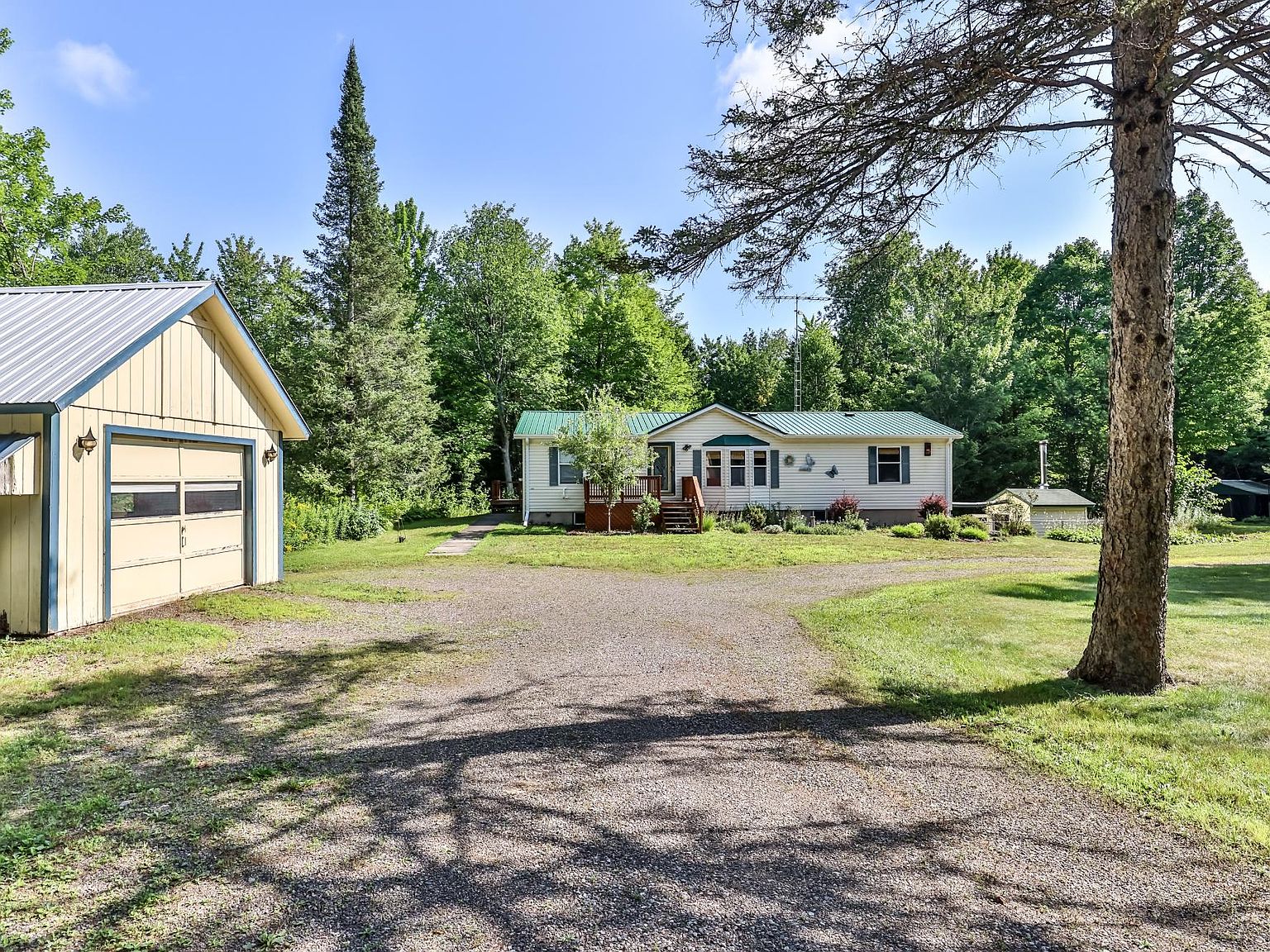 白州Spanish oak Quercus ×hispanica | Spanish oak - Van den Berk