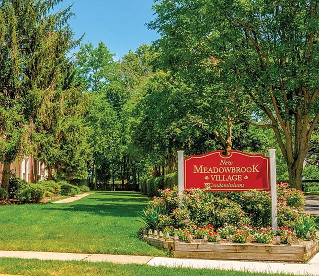 New Meadowbrook Village