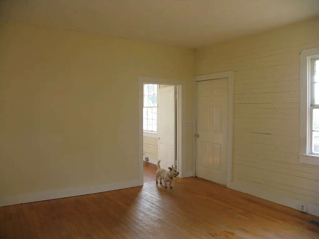 2 bed, 1050 sqft, $1,450 — Photo 3