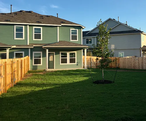 15208A Spruce Frost Cv Photo 1