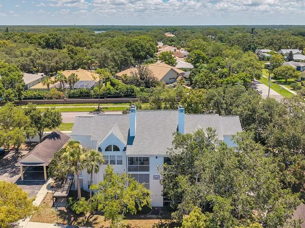 3301 Haviland Ct APT 301, Palm Harbor, FL 34684