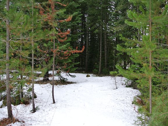 5th image of 9789 E Highway 54