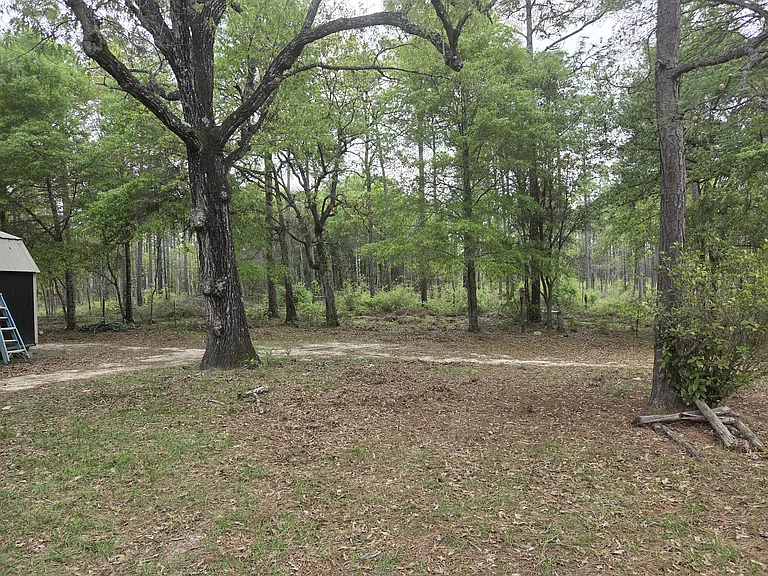 9057 Shiloh Cemetery Rd — Photo 10