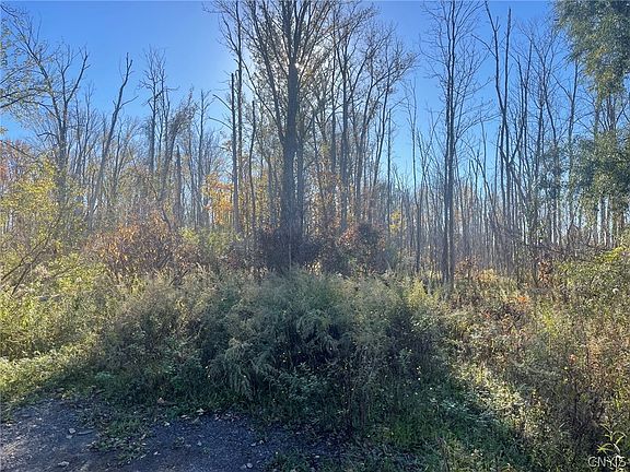 3rd image of Williams St Lot 4