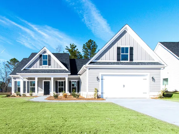 Palmetto Plan, Lakes and Streams