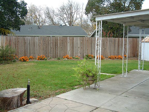 Back yard