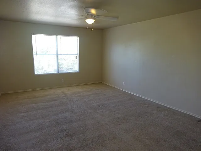 3638 Candlehead Ln — Photo 16
