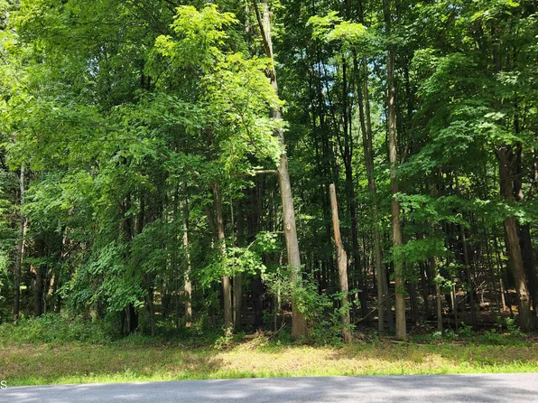 L4 Brown Rd Road, Stillwater, NY 12170