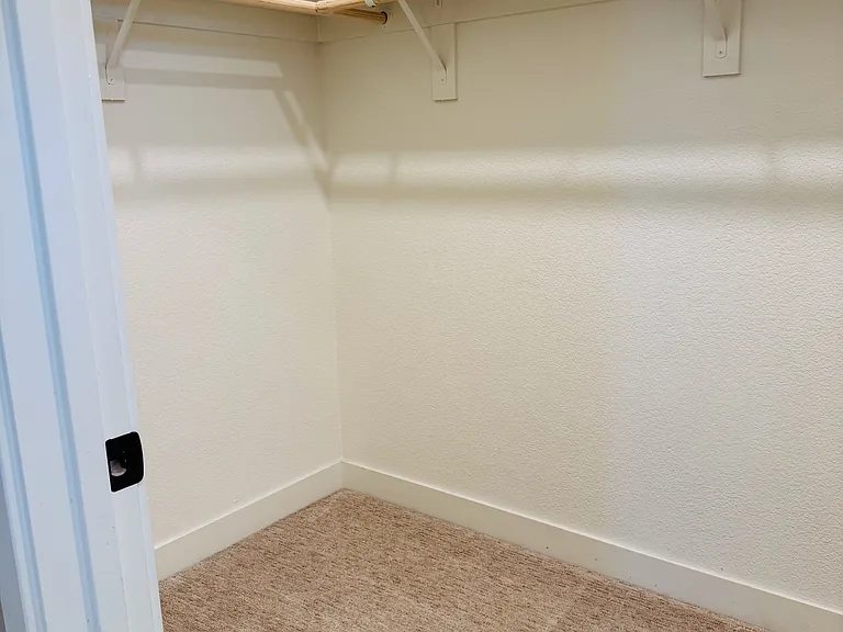 1st Walk-in closet attached to master suite