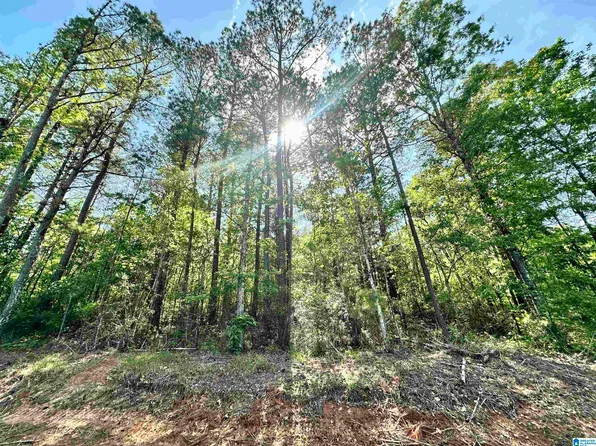 0 Highway 139 #Na, Maplesville, AL 36750