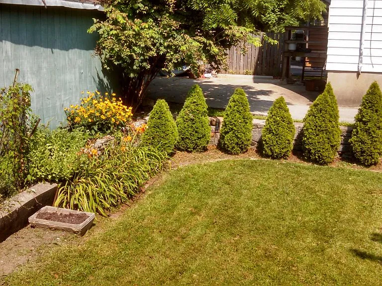 Back yard