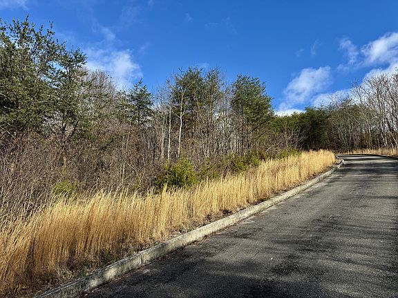 4th image of 1 Megans Trl Lot 67