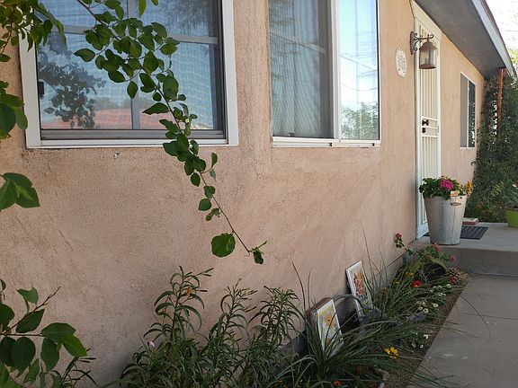 Bay Window
