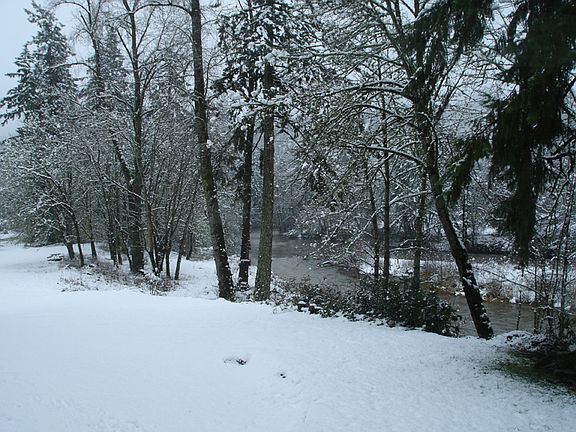 River from living room