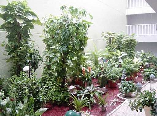 2nd image of 11755 SW 18th St APT 204