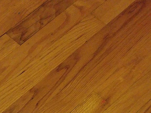 5th image of 915 E 160th Pl