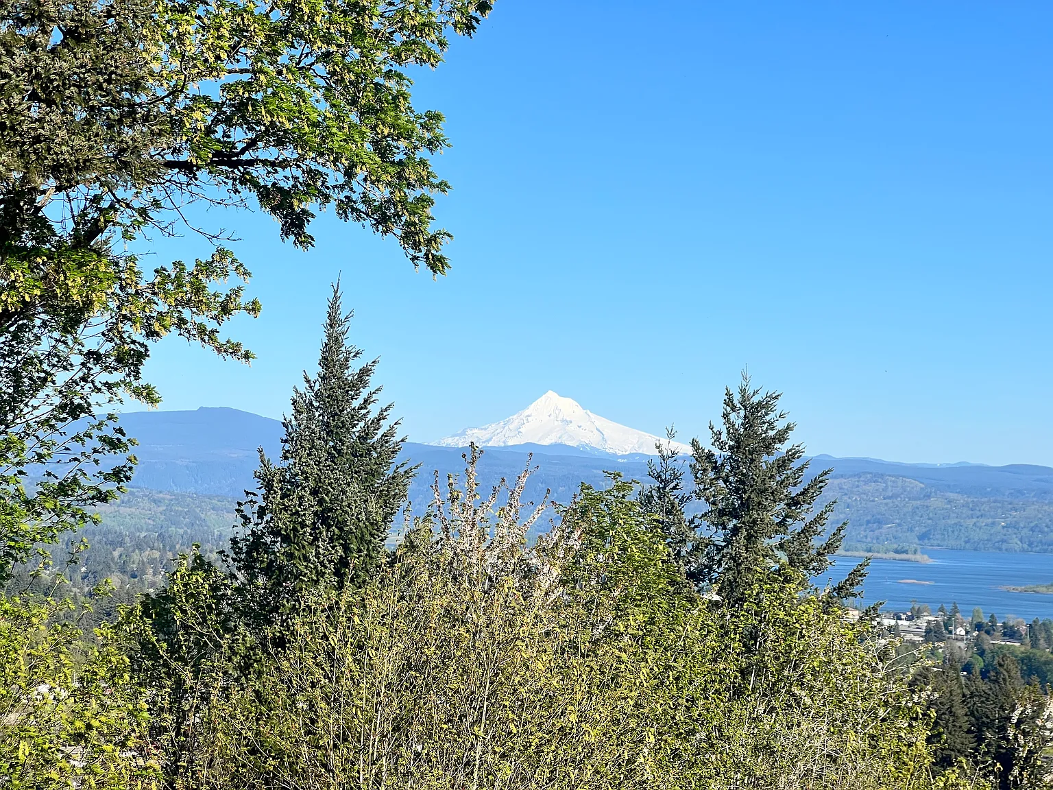 2 bed, 2.5 bath, 2353 sqft, $3,500 — Photo 4
