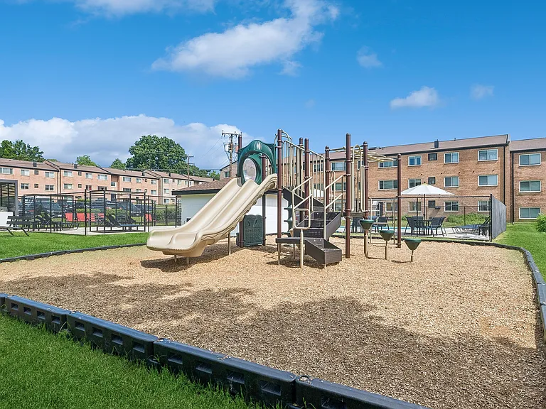 ReNew Springfield — Photo 15