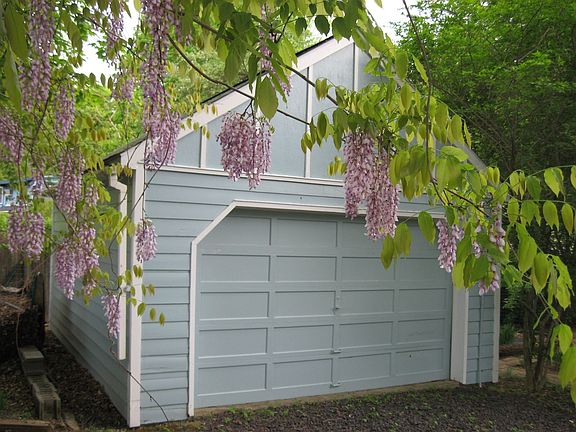 Wisteria framing detached garage 