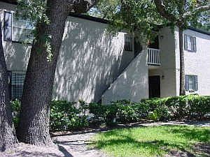 Treelined street near WestShore Plaza