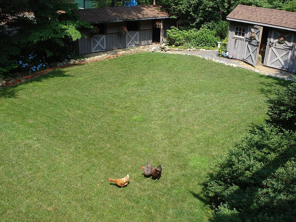 2nd image of 53 Green Ln