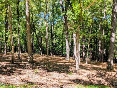 106 Highland Dr, Chapel Hill, NC, 27514