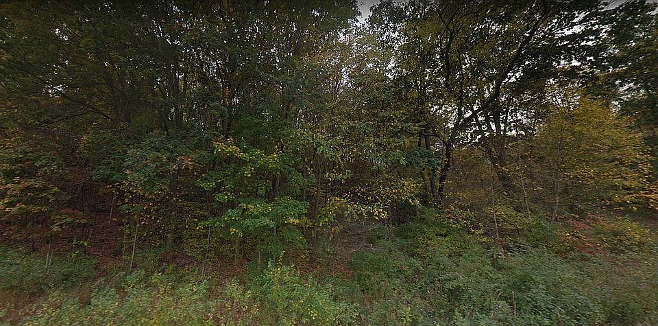 2nd image of Red Mud Hollow Rd