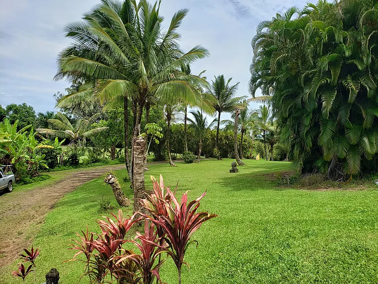 FRONT YARD