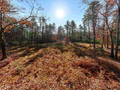 Lot 42 Winchester Lane, Center Tuftonboro, NH, 03816