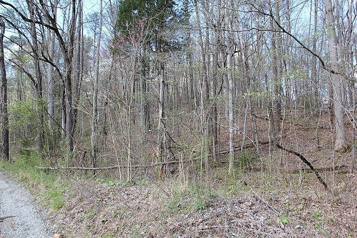 1st image of 0 McGill Rd Parcel 11.00