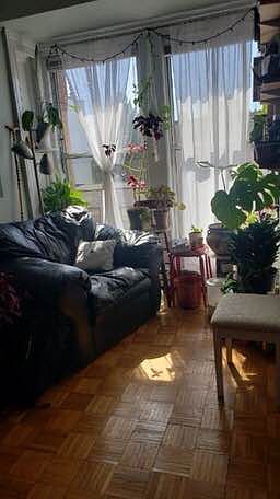 1st image of 698 Leonard St #3