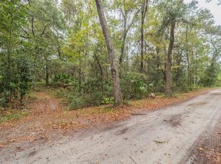 SE 65th Ave LOT 5, Summerfield, FL 34491