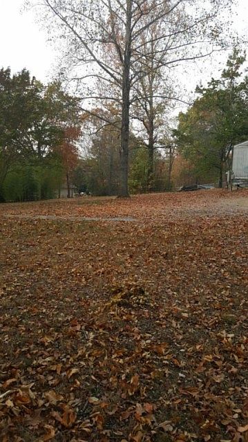 2nd image of 8138 Pine Ridge Rd