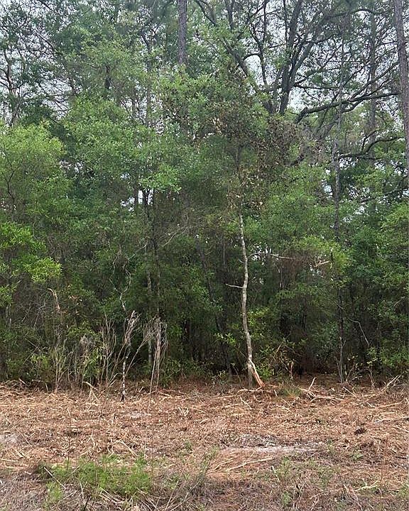2nd image of 10831 N MATARO AVENUE LOT 5