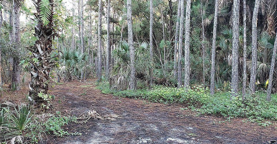 2nd image of Outback Rd #240655