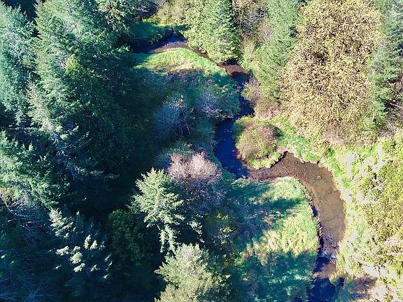 2nd image of S Fork Rd