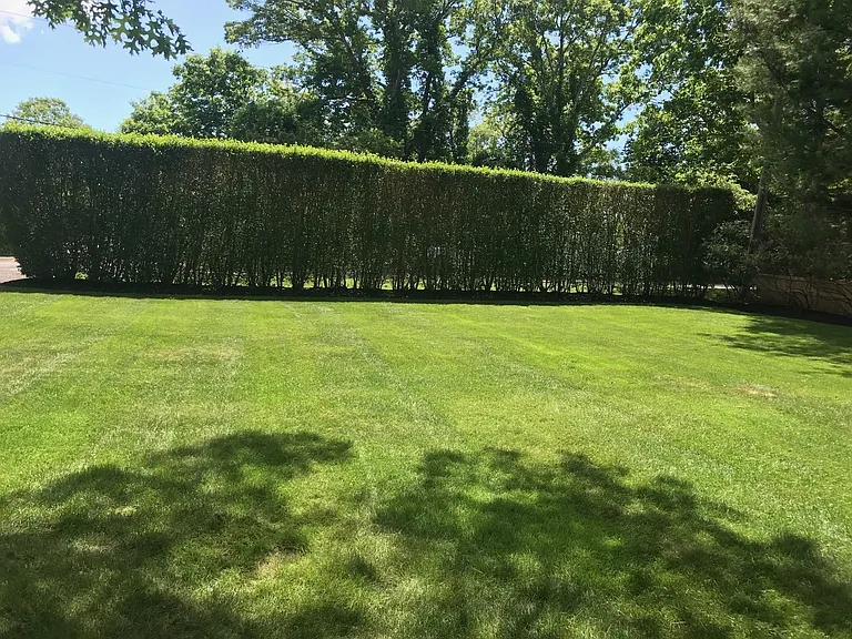 444 Scuttle Hole Rd — Photo 23