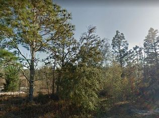 10th St, Interlachen, FL 32148