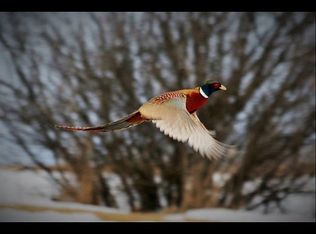 21215 Bennington Rd, Elkhorn, NE 68022