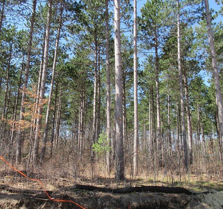 2nd image of (lot 5) Salish Ct NW