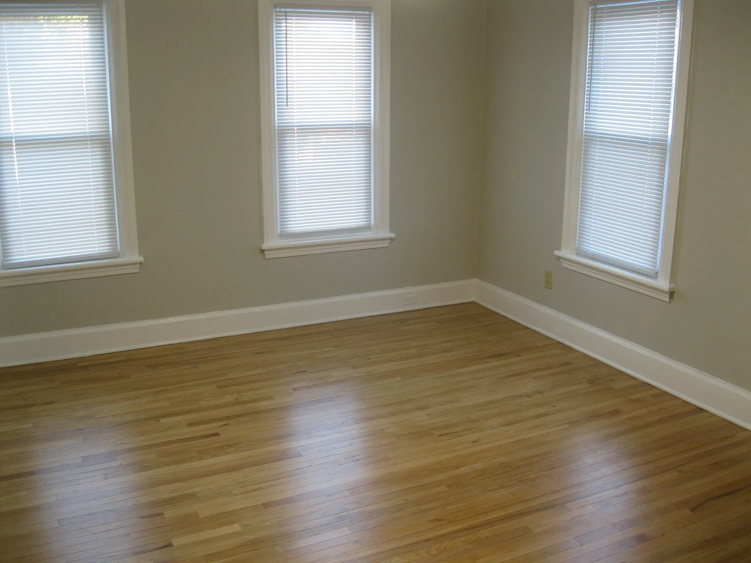 2 bed, 700 sqft, $1,390 — Photo 4