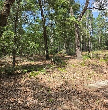5th image of 8355 N ORTON WAY LOT 5