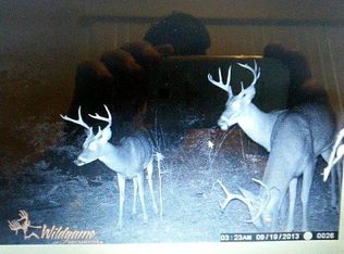 168 Powell Hollow Rd, Williford, AR 72482