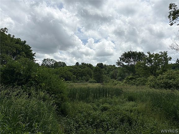 4th image of Two Rod Rd
