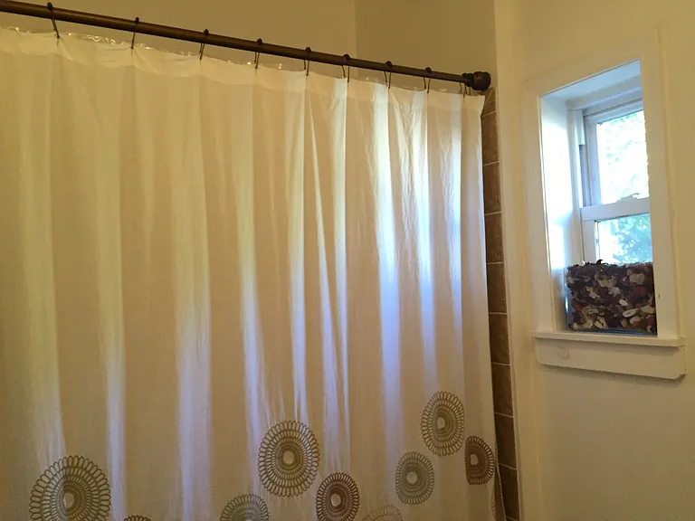 Second Bath Shower