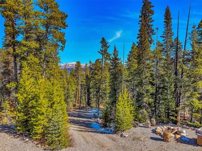 454 Dry Gulch Road, Fairplay, CO, 80440