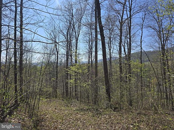 5th image of LOT 1 S Fort Valley Rd